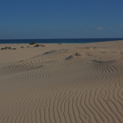 DSCF8525