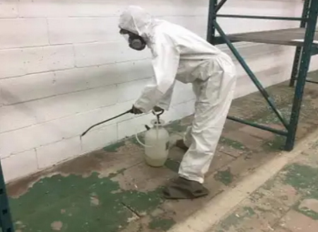 Mold-Removal-Hamilton