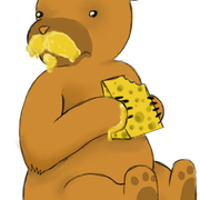 bear