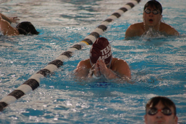 IMG-0331