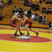 IMG-0237