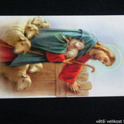 IMG-6970