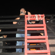 IMG-1333