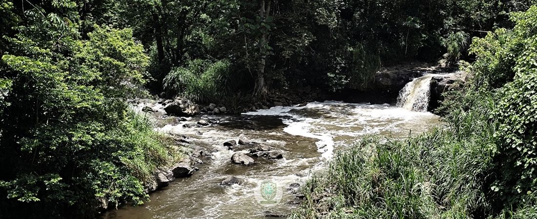 confluencia del río sordo con el pixquiac