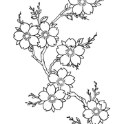 edcd48e9b7451e7c98fd135744d3fe23