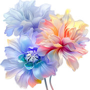 3e2429f9d6d2b27b570a2b9438eb4dcf