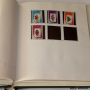 IMG-3965
