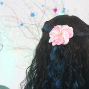 IMG-9753