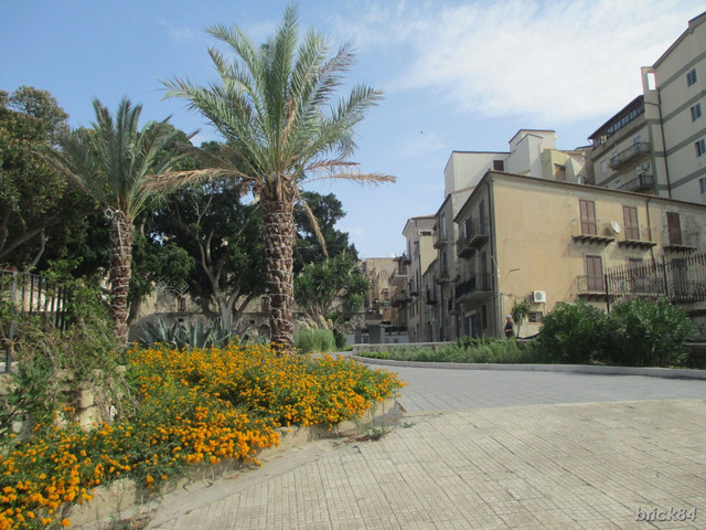 IMG-1521