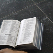 IMG-0226