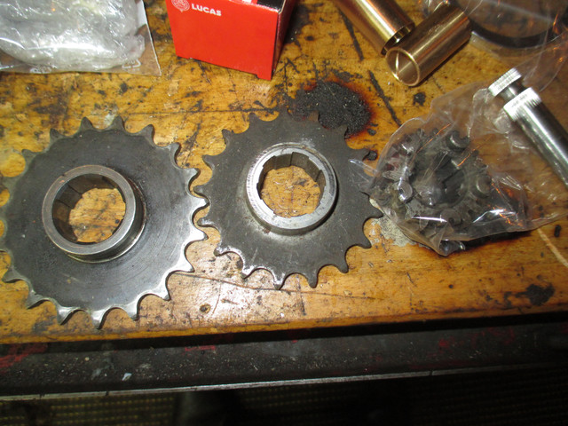 IMG-2873.jpg