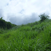 P1320470