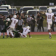 IMG-6411