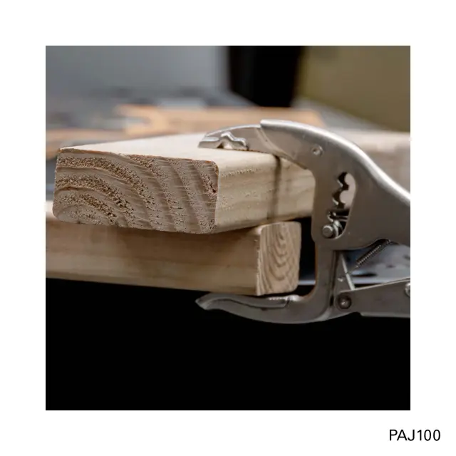 PAJ100-app5-jpg