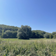 IMG-6540