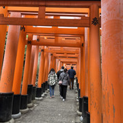 IMG-2857