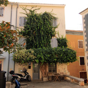 IMG-9573