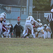 IMG-1223