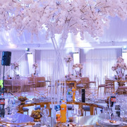 MRM-Events-368