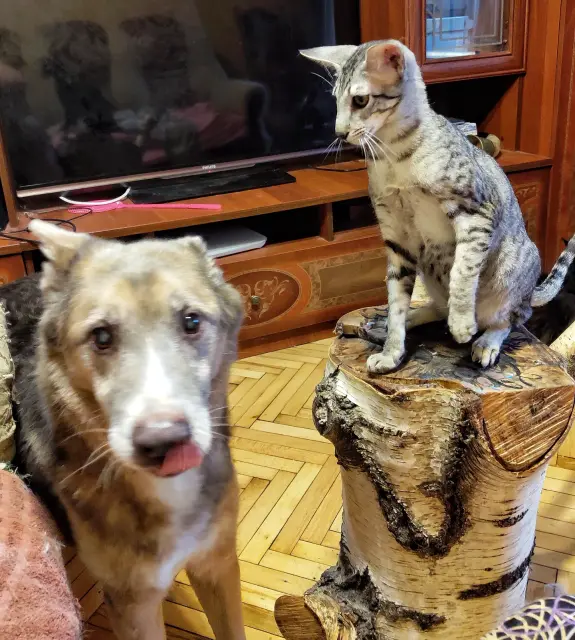 IMG-20220831-185720-171