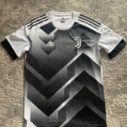 juve-17-train