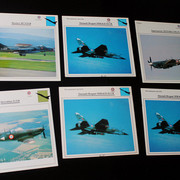 IMG-4333