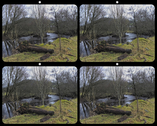 DSCF1443-01.jpg
