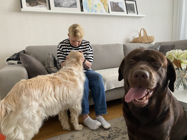 41-B7-DF36-21-FD-431-C-BFA0-837-DF0-CDD2