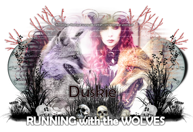 duskie-drastiquetagwolves