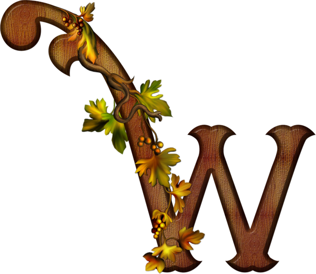 W 541769