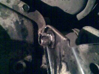 https://i.ibb.co/fBjpDt3/20146-1.jpg