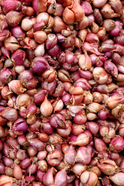 Sambar onion / ಸಾಂಬಾರ್ ಈರುಳ್ಳಿ 