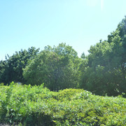 P1340069