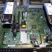 IMGP4355