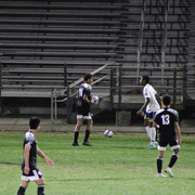 IMG-0101