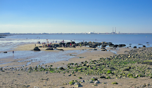 DSCF3175.jpg