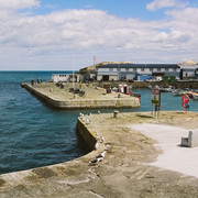 DSC-2217