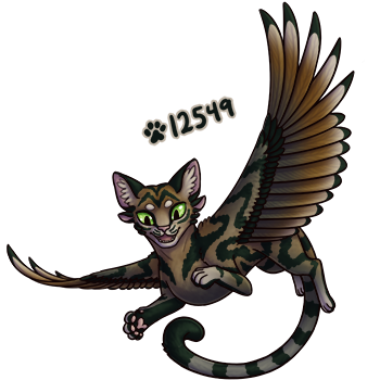 Pet Image