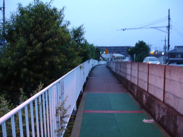 2010-07-01-191.jpg