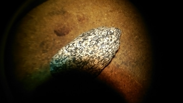 IMAG0181