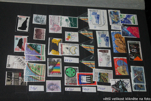 IMG-3704.jpg