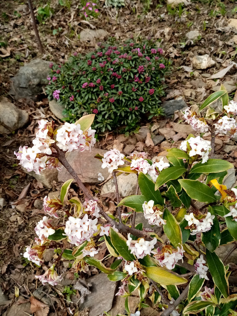 IMG-20220331-153310
