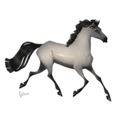 Adopt-roan-grullo