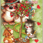 cards-f14
