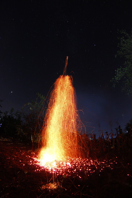 1c00429m
