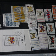 IMG-7000