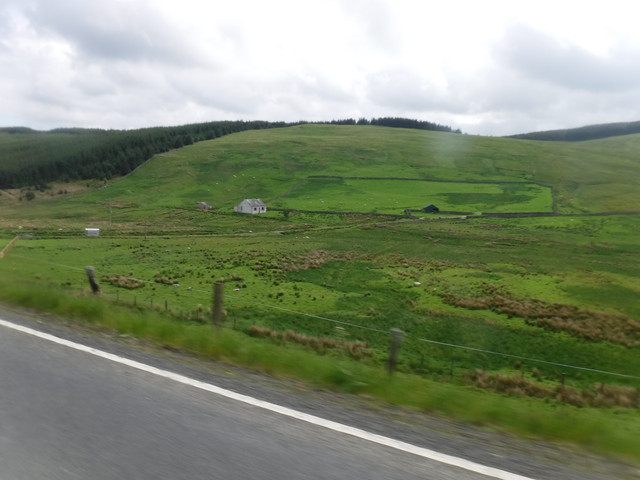 DSCF7927.jpg