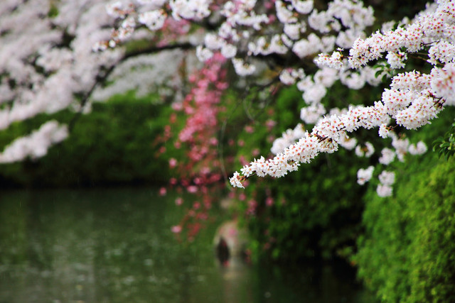 201504091530344ef