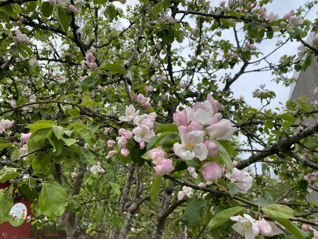 7-EB36907-F61-D-4869-8334-707-D33-B9-B6-