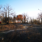 IMG-20220219-165702